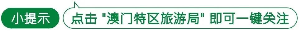 禁止电子烟新规定12月5日生效 违法者最高将被科处20万澳门元