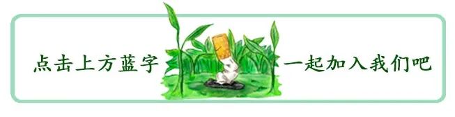 【烟草创新】-&ldquo;一种颗粒型烟弹及其制作方法与用途&rdquo;发明专利获公开